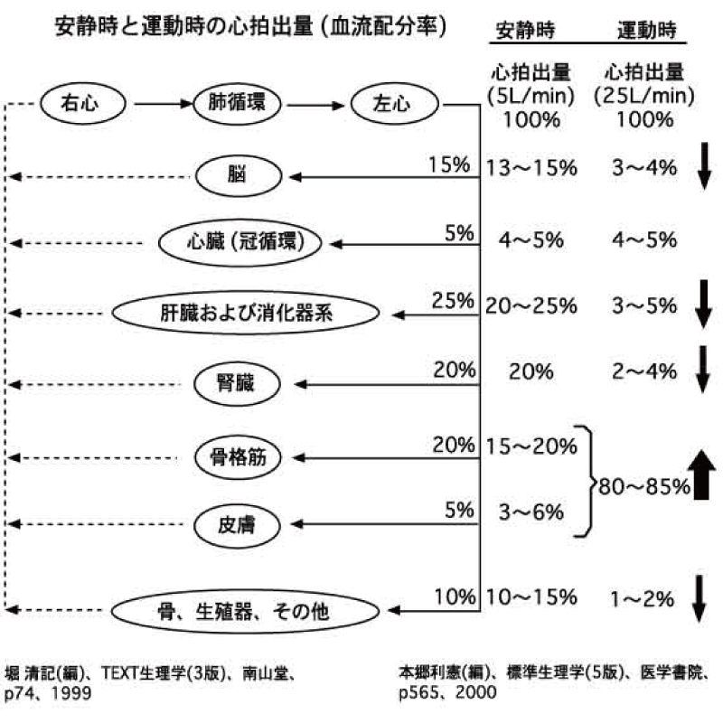 不妊鍼灸、不妊治療、体外受精、銀座